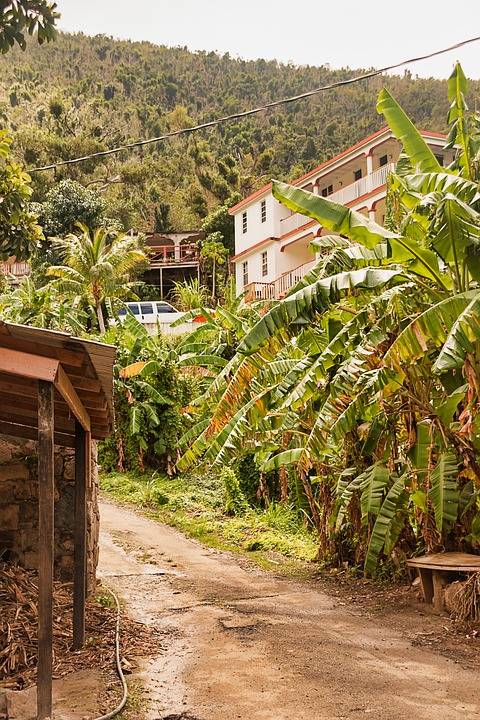 Tortola