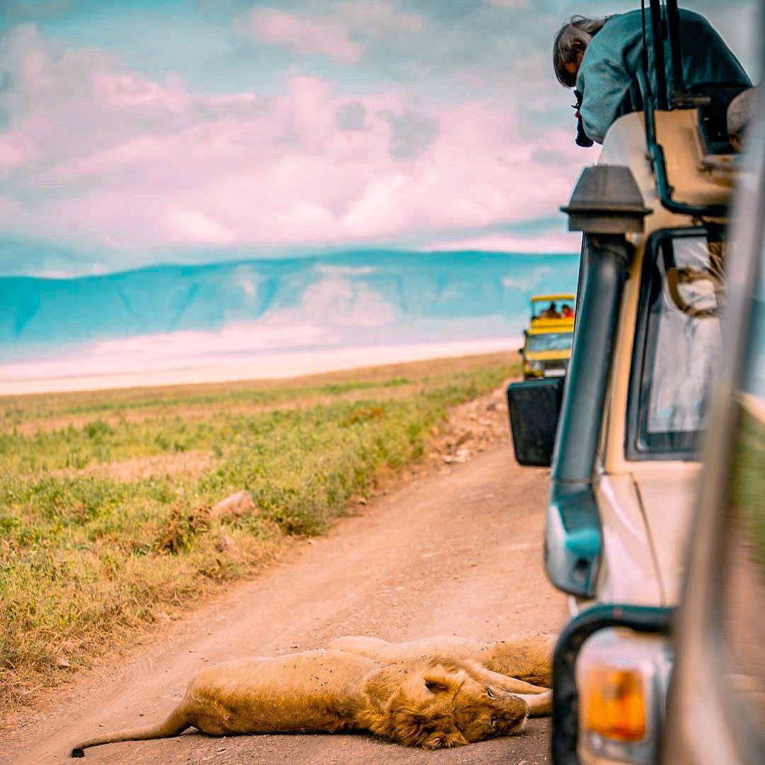 Exploring Ngorongoro crater