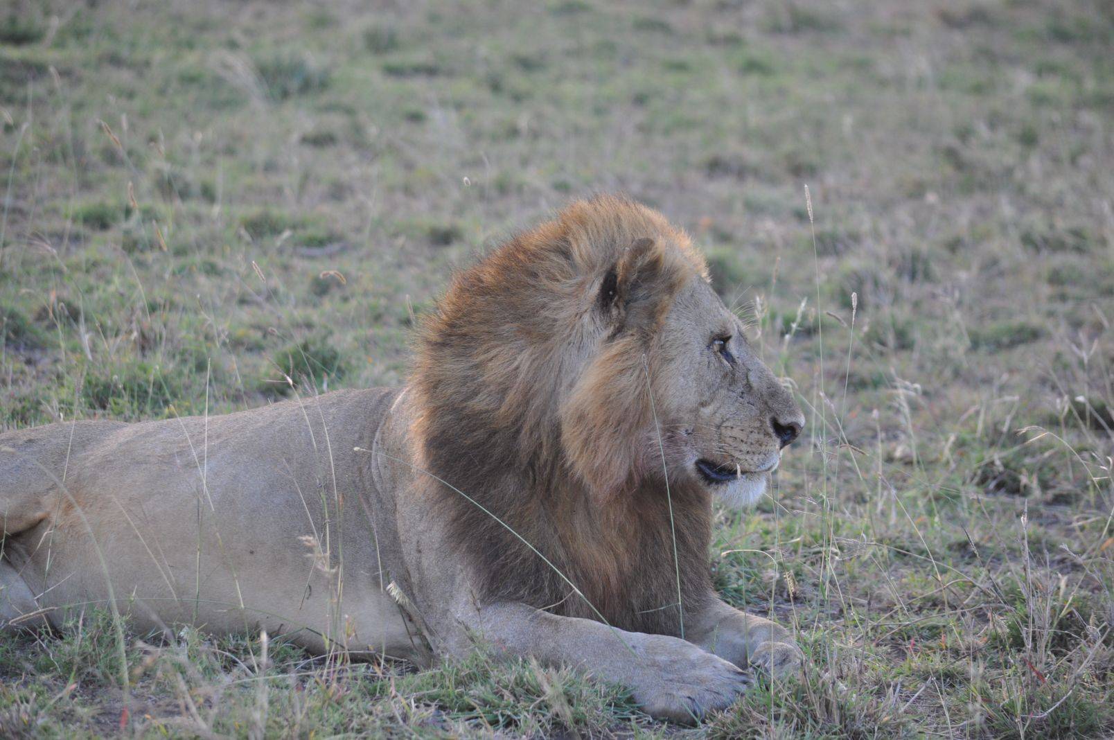 Serengeti National Park