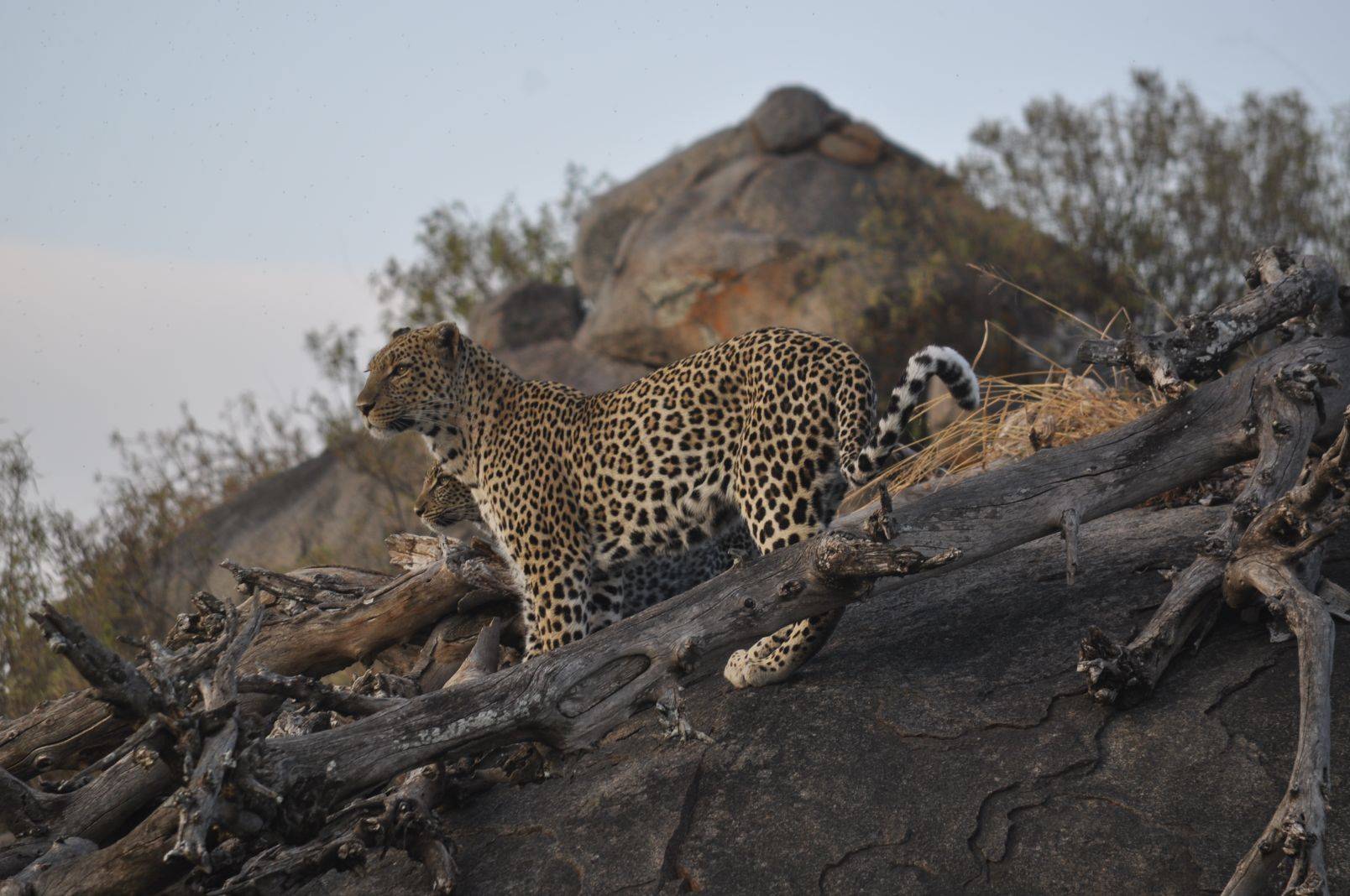 Serengeti National Park