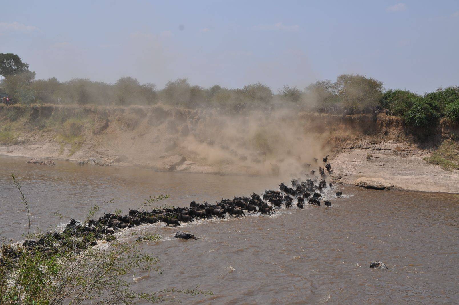 Mara River crossing | Kenya to Tanzania