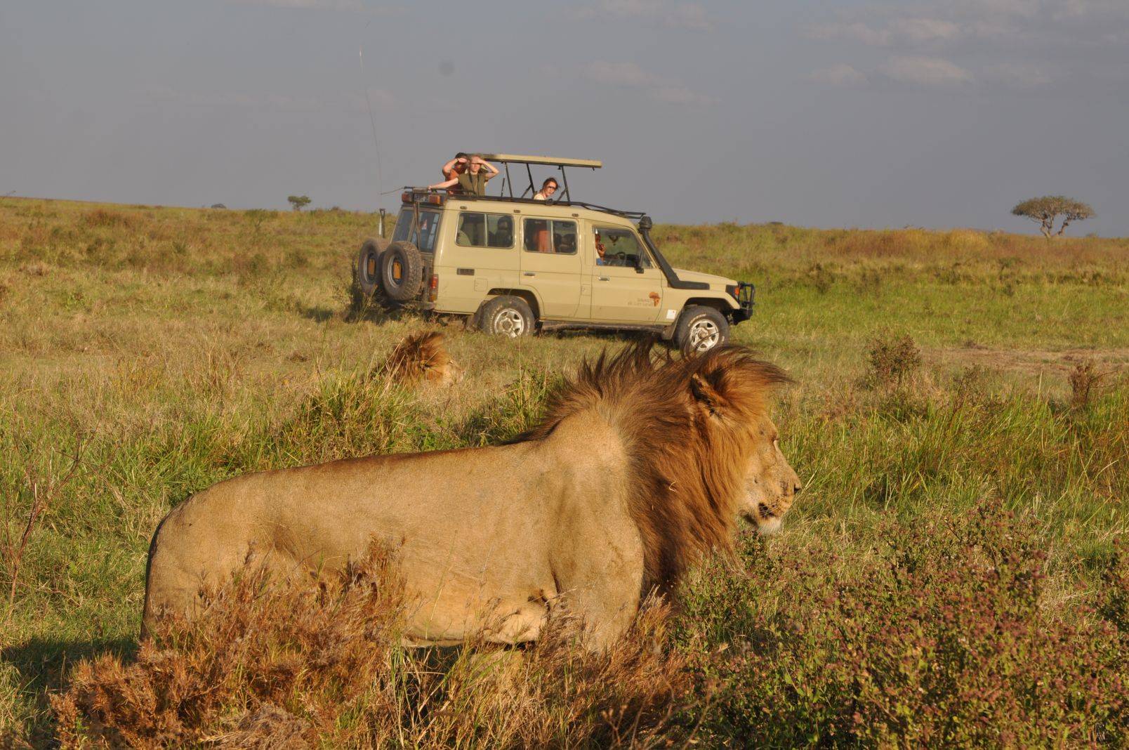 Tarangire National Park