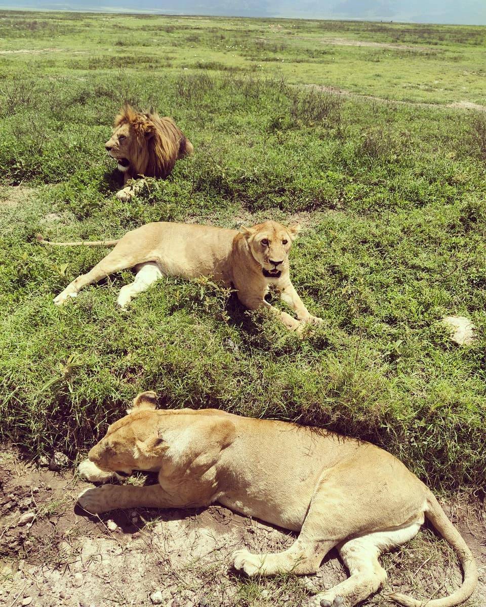 Lake Manyara National Park