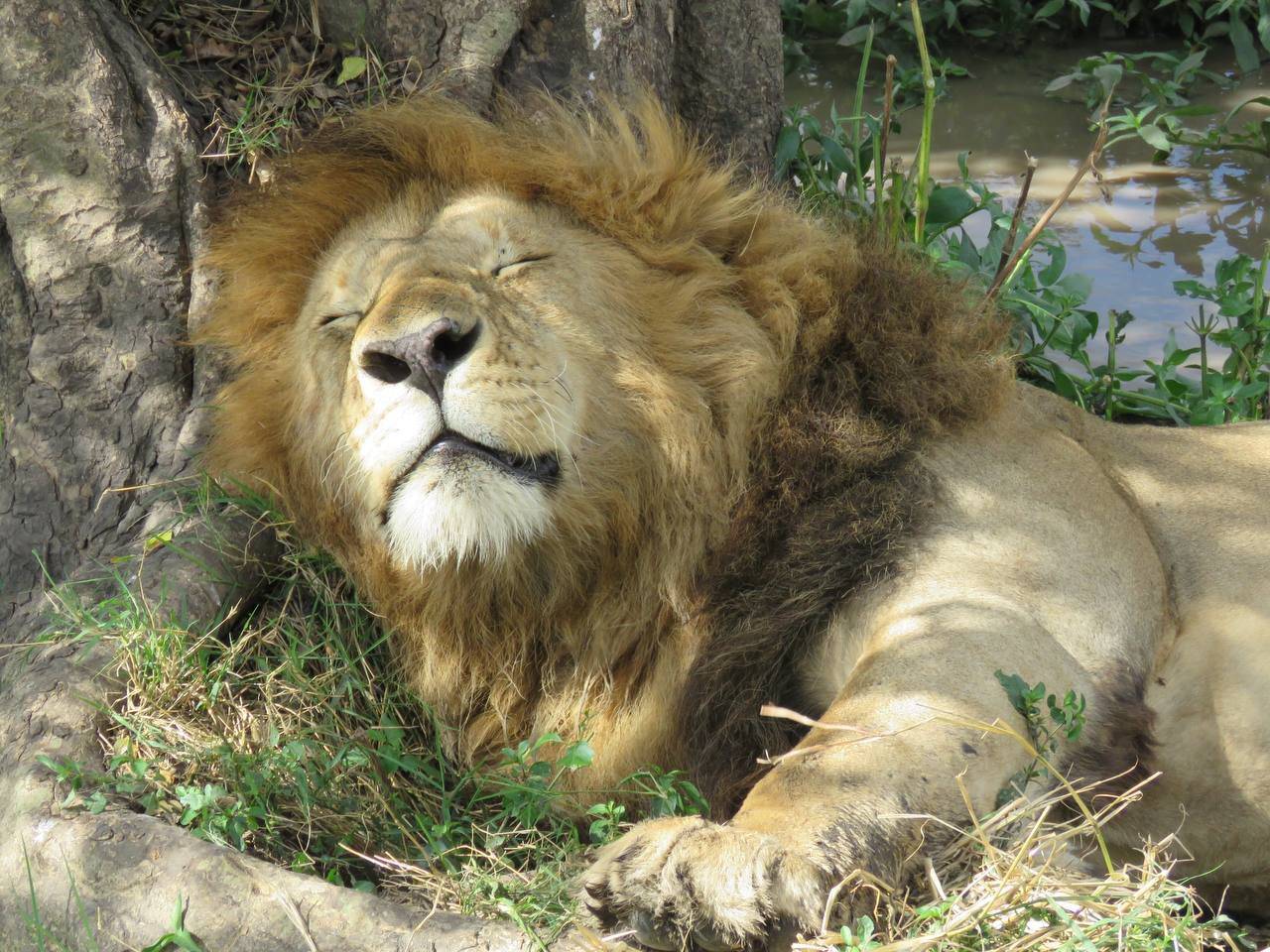 Ngorongoro Crater